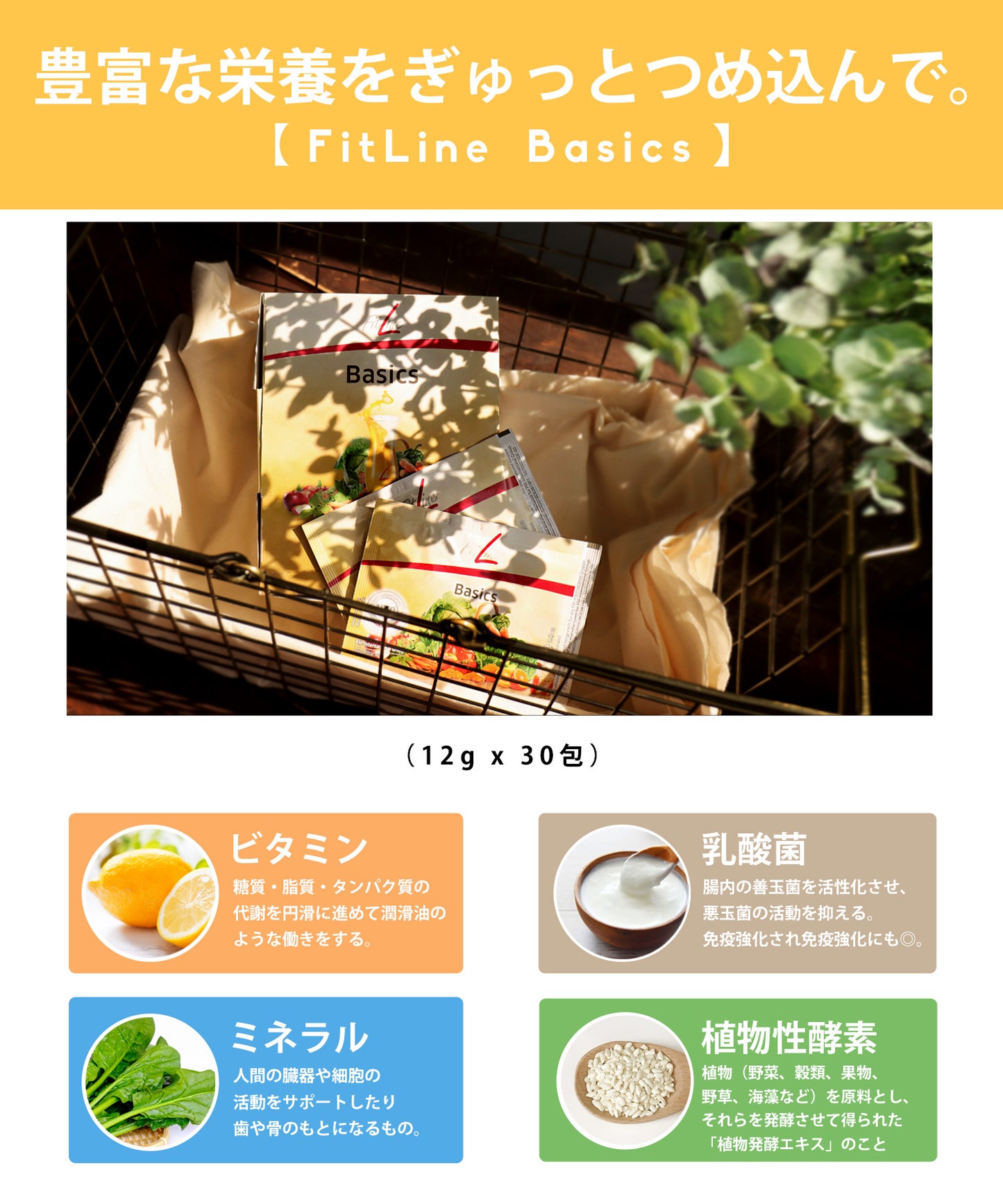 【FitLine Activize Basics】フィットラインベーシックス